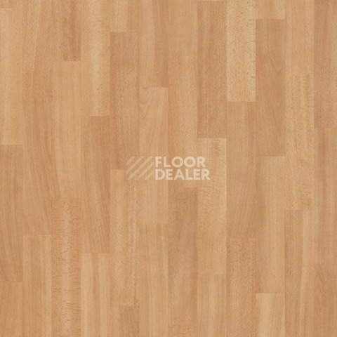 Линолеум Forbo Eternal Wood 11442 washed beech фото 1 | FLOORDEALER